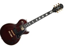 Epiphone jerry cantrell gebraucht kaufen  Aiterhofen