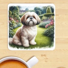 tzu crosses shih for sale tzu crosses shih for sale STOCKTON-ON-TEES