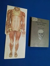 1909 atlante anatomia usato  Roma
