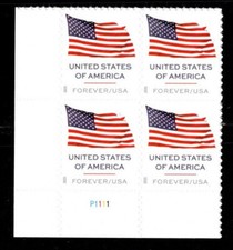 6023 2025 flag for sale  Trenton