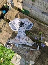 Poppy ted small for sale  WARRINGTON