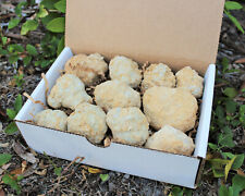 Break geodes gift for sale  Fort Myers