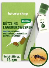 Schlupfwespen lagererzwespen b gebraucht kaufen  Borchen