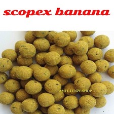 Boilies boile scopex usato  Terni