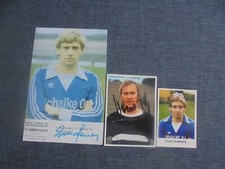 Riginalautogramme fc schalke gebraucht kaufen  Memmelsdorf