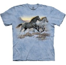 Mountain wild horses for sale  Wilmington