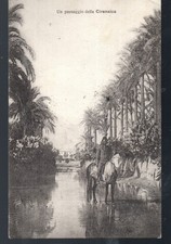 Cartolina viaggiata tripoli usato  Larino