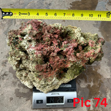 Rare live rocks for sale Rare live rocks for sale  El Cajon
