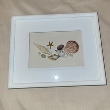 Beautiful picture frame for sale  Mount Carmel