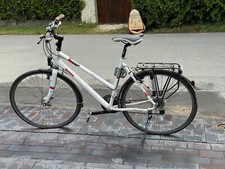 Fahrrad focus weiß gebraucht kaufen  Enger