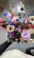 Black eyed anemone for sale  Shirley