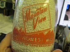 Mountain view long for sale  Owosso