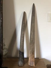Rostres espadon marlin d'occasion  Sarlat-la-Canéda