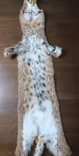 Bobcat fur professionally for sale  Andalusia