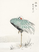 Plakat 75x100cm White-naped Crane, Kashu Vintage do Salonu na sprzedaż  PL