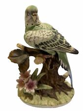 Andrea sadek parakeet for sale  Chesterfield