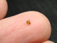 Seymchan pallasite pmg for sale  Hebron