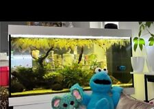 Aquarium juwel 350l gebraucht kaufen  Lohmar