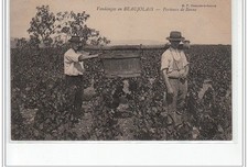 Vendanges beaujolais porteur d'occasion  France