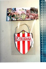 Scudetto gagliardetto legno usato  Italia