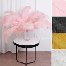 Large authentic ostrich for sale  Rancho Cucamonga