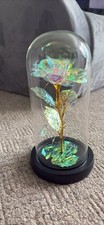 Light forever rose for sale  POOLE