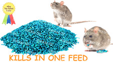 Rat mouse rodent for sale  LONDON