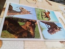 Cartoline con cavallo usato  Soriano nel Cimino