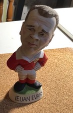 Grogg ieuan evans for sale  TALYBONT