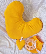 Mastectomy lumpectomy recovery for sale  GUILDFORD