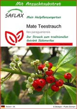 Saflax samen substrat gebraucht kaufen  Münster