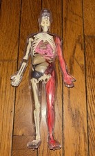 Human body hands for sale  Methuen