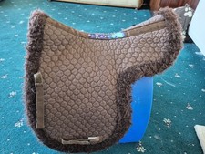 Griffin wither nuumed for sale  SHETLAND