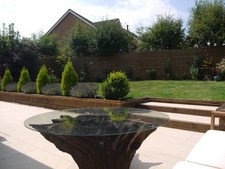 Oak tree stump for sale  MARKET HARBOROUGH