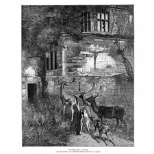 Samuel edmund waller for sale Samuel edmund waller for sale  GLASGOW