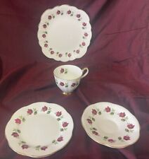 Clare fine bone for sale  TIGHNABRUAICH