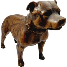 North light dog for sale  INVERNESS