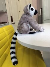 Madagascar ring tailed for sale  KENLEY