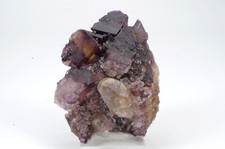 Fluorite denton usa d'occasion  Lille-