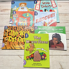 Lighthouse guided reading for sale  DARLINGTON