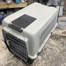 Extra large dog for sale  GUILDFORD
