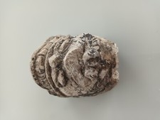 Buddha head gandhara d'occasion  Expédié en Belgium