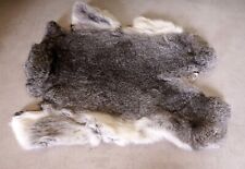 Schönes graues hasenfell gebraucht kaufen  Kirchberg
