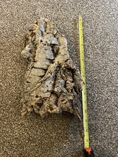 Cork bark 40cm for sale  STOKE-ON-TRENT