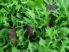 Spicy greens salad for sale  THAME