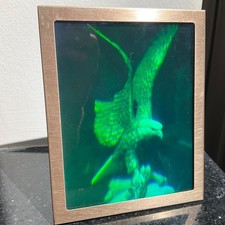 Hologram glass picture for sale  Fountain Hills