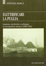 Elettrificare puglia. impresa usato  Italia