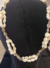 Natural mini cowrie for sale  Bensalem
