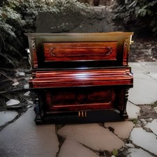 Bush gerts 1920 for sale  Chandler