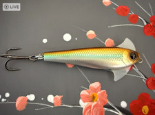 Isca sub-superfície de água salgada Shimano enguia areia cera 25g 88mm (#WW010) comprar usado  Enviando para Brazil